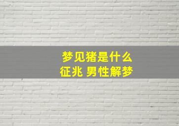 梦见猪是什么征兆 男性解梦